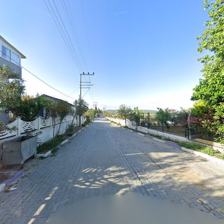 Fotoğraf 9