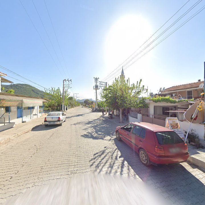 Fotoğraf 7