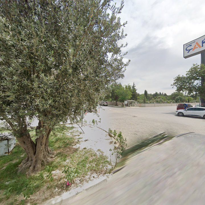 Fotoğraf 9