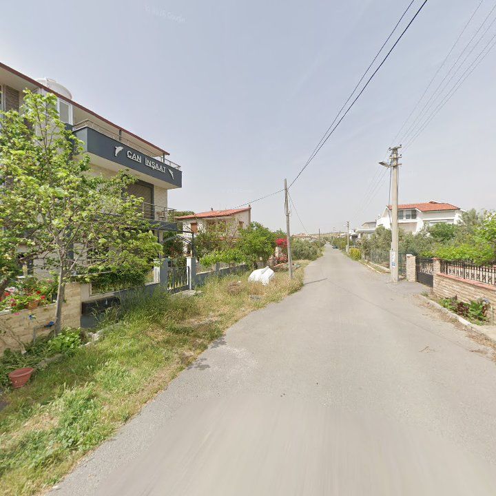Fotoğraf 10