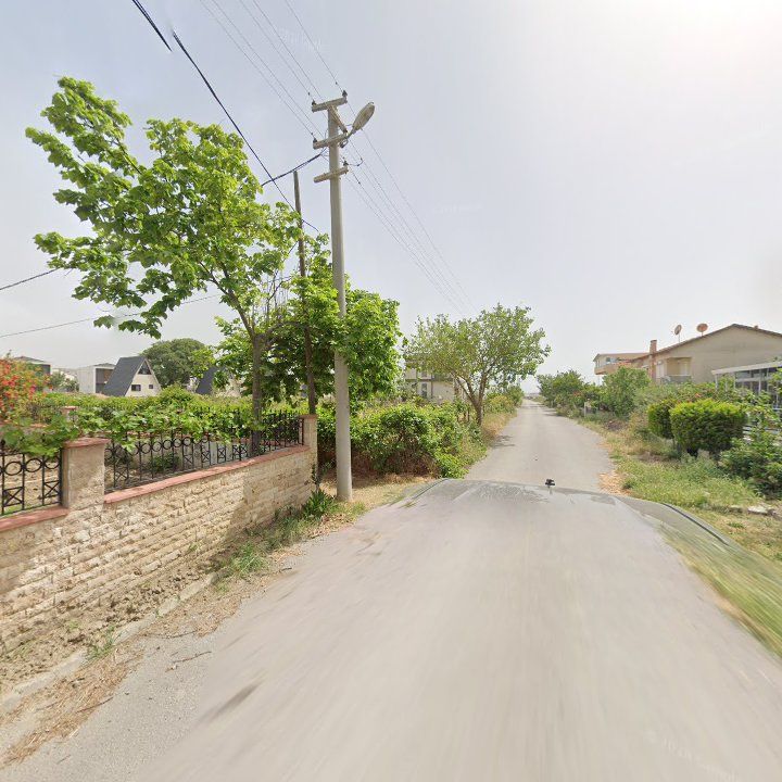 Fotoğraf 8