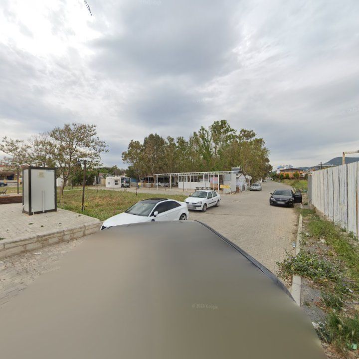 Fotoğraf 7
