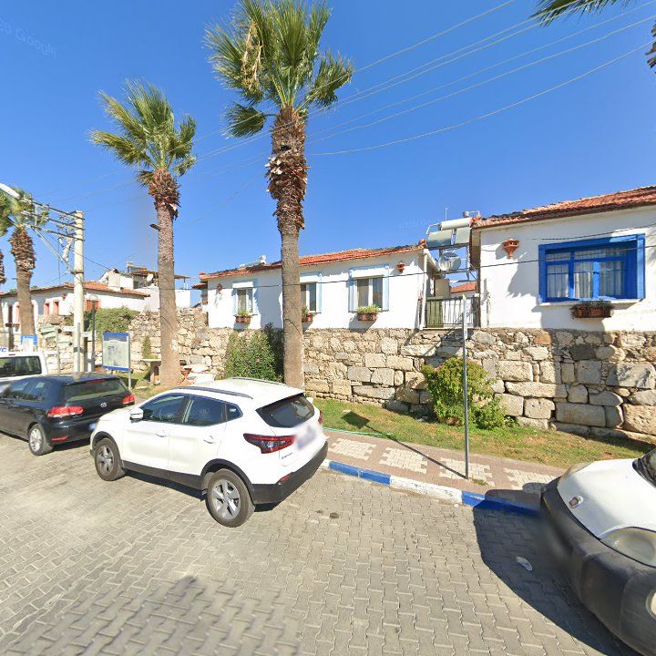 Fotoğraf 7