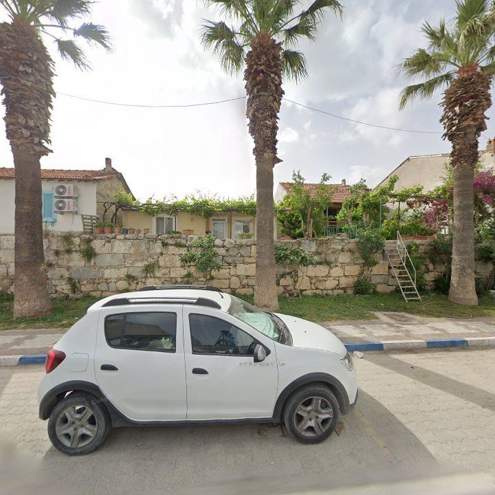 Fotoğraf 8