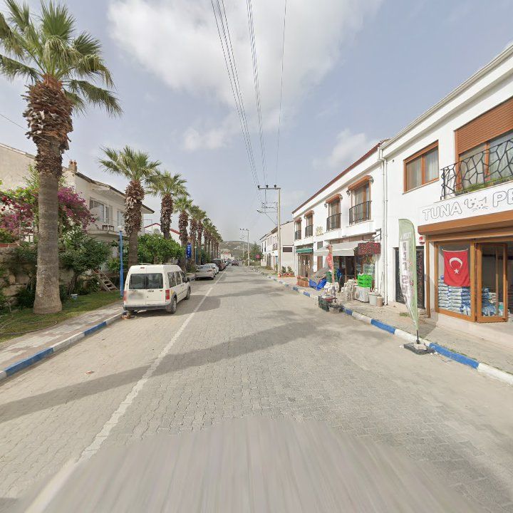 Fotoğraf 9