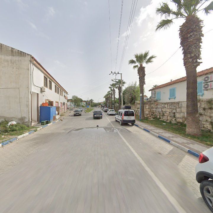 Fotoğraf 11
