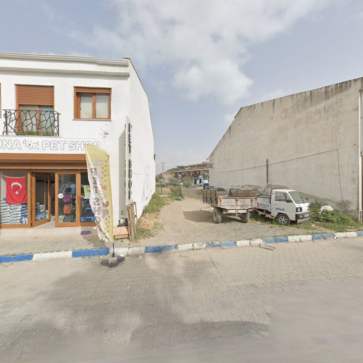 Fotoğraf 10