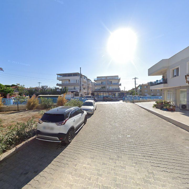 Fotoğraf 11