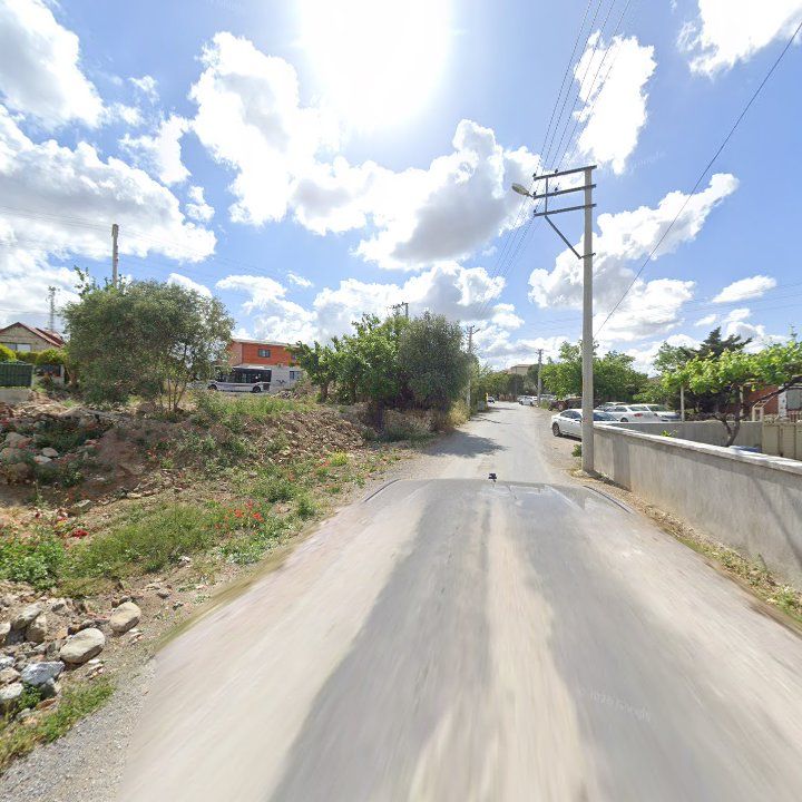 Fotoğraf 7