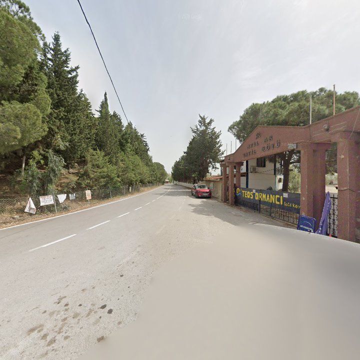 Fotoğraf 7