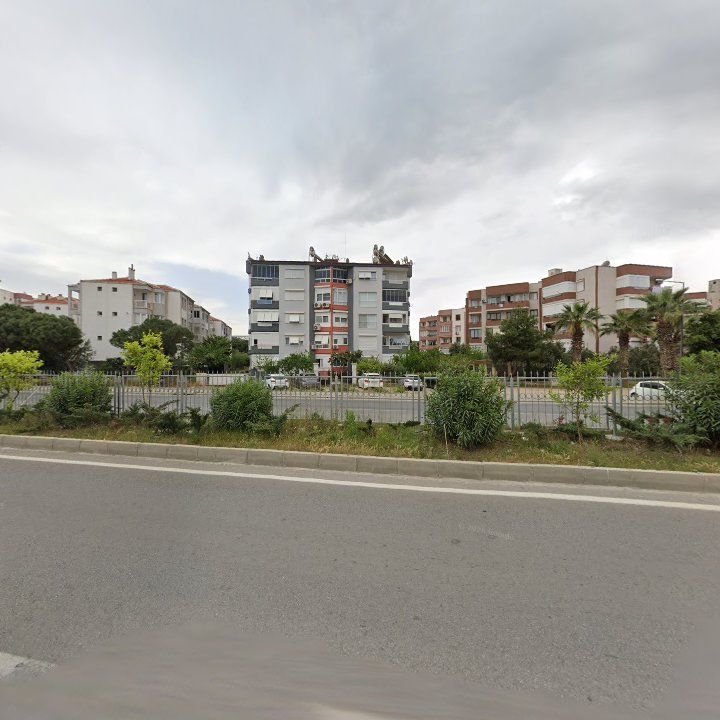 Fotoğraf 7