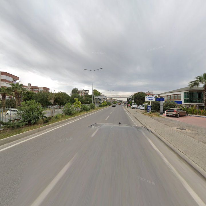 Fotoğraf 8