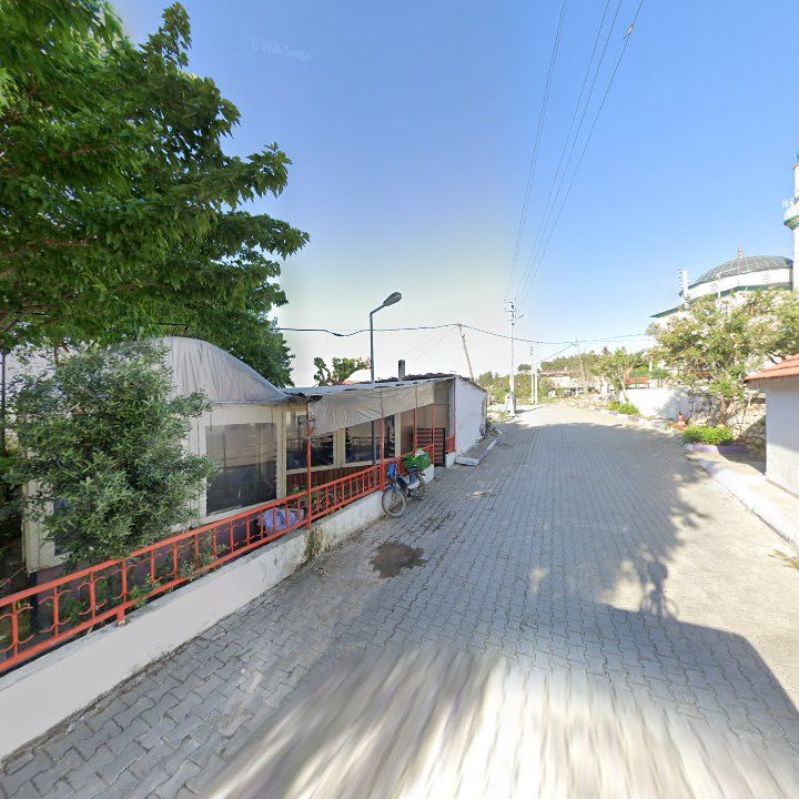 Fotoğraf 7