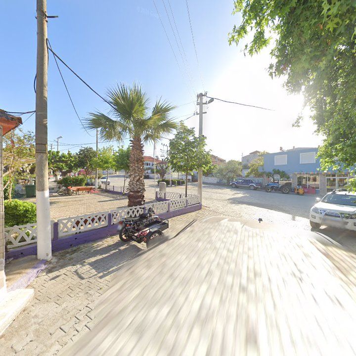 Fotoğraf 5