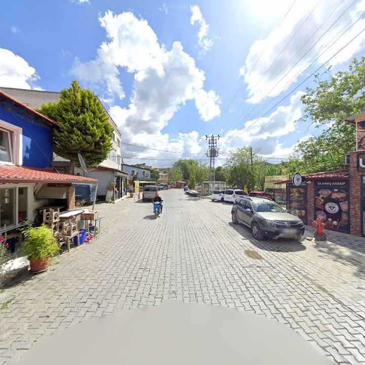 Fotoğraf 12