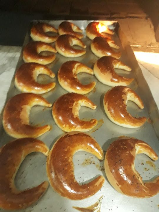 Fotoğraf 15