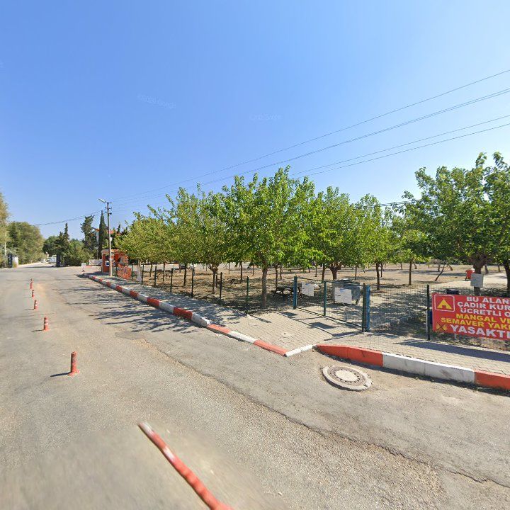 Fotoğraf 8