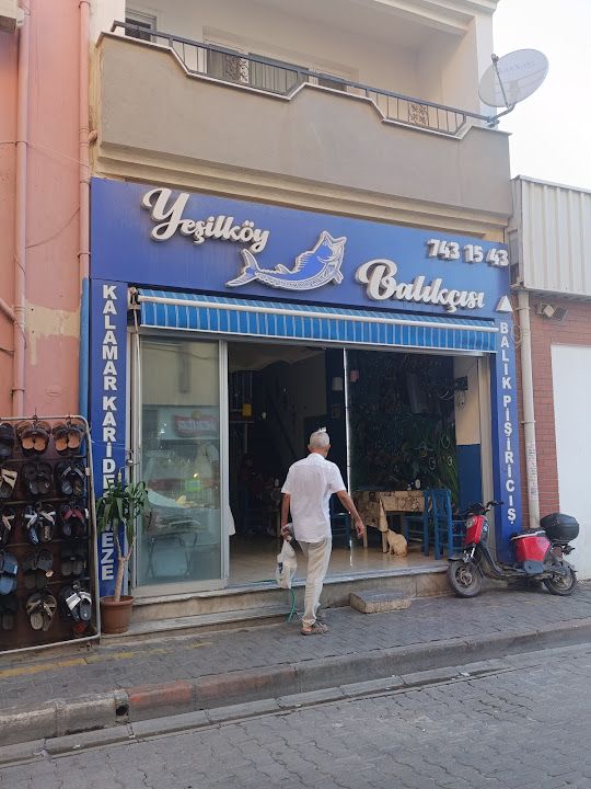 Yeşilköy balıkçısı