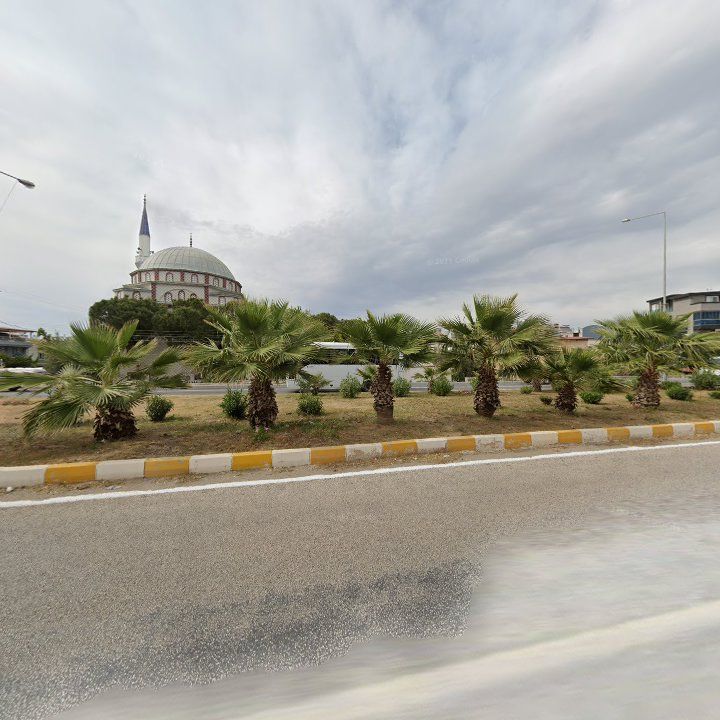 Fotoğraf 8