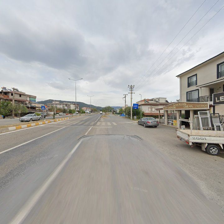 Fotoğraf 11