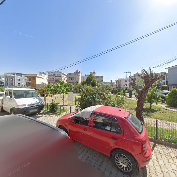 Fotoğraf 9