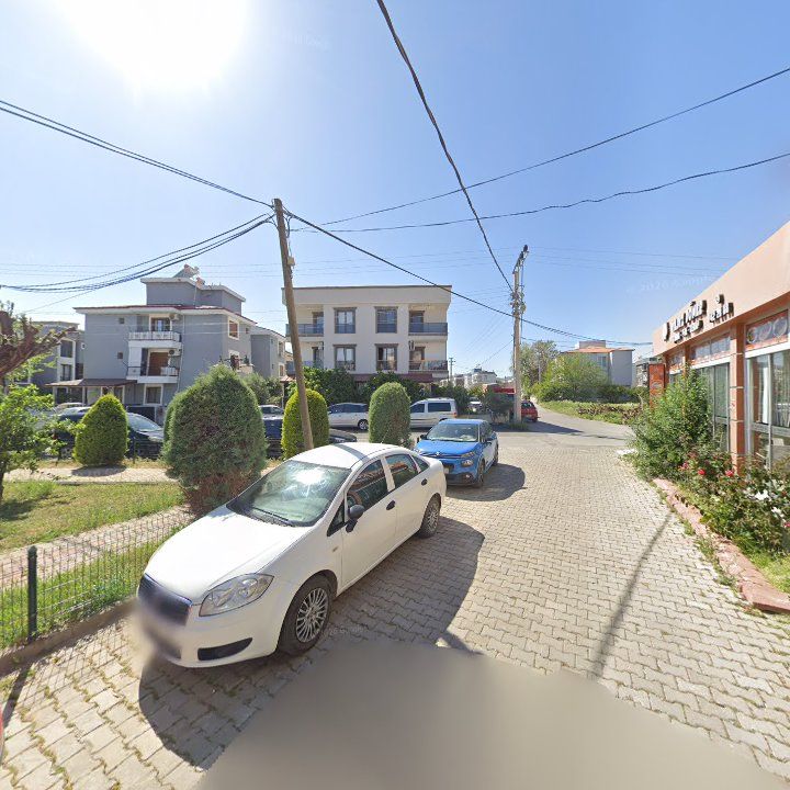 Fotoğraf 10