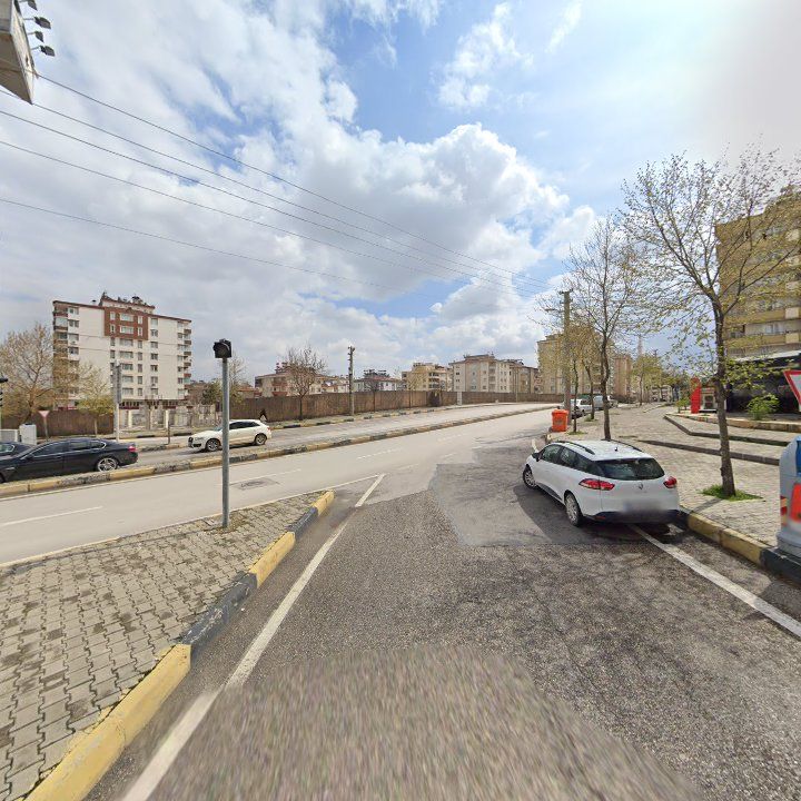 Fotoğraf 10