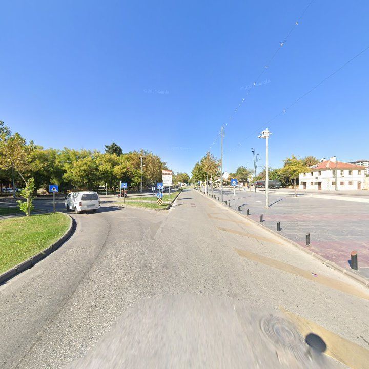 Fotoğraf 11