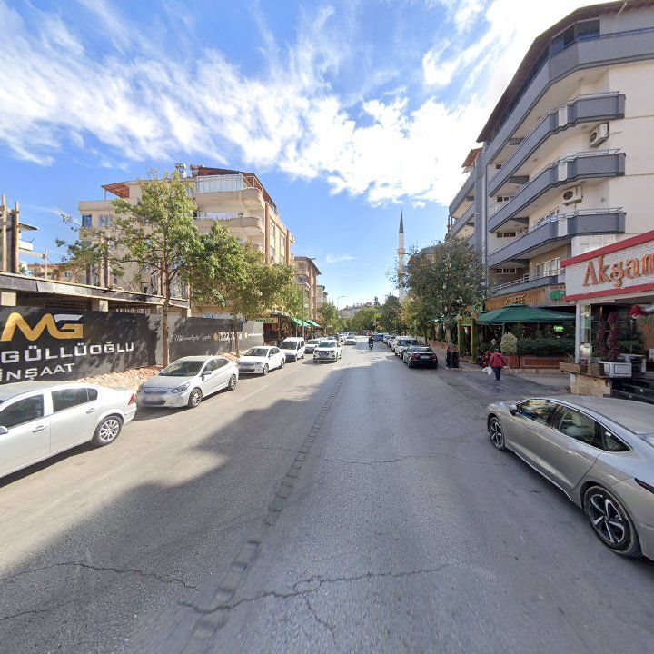 Fotoğraf 12