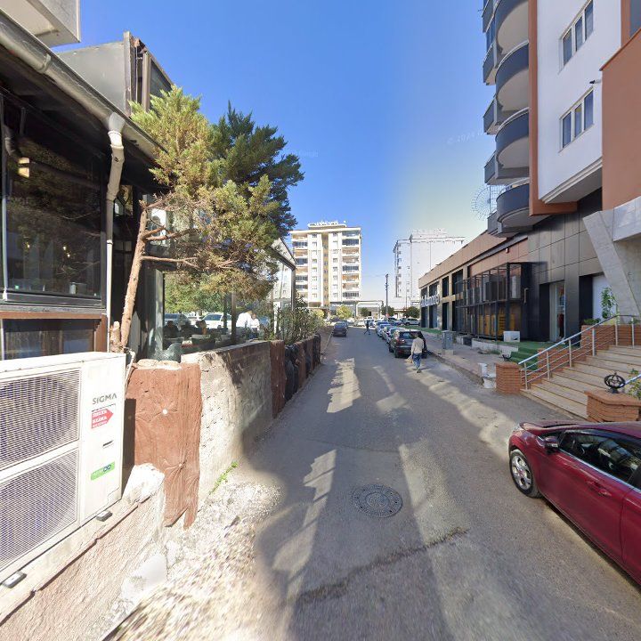 Fotoğraf 9