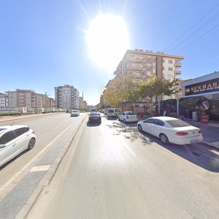 Fotoğraf 12