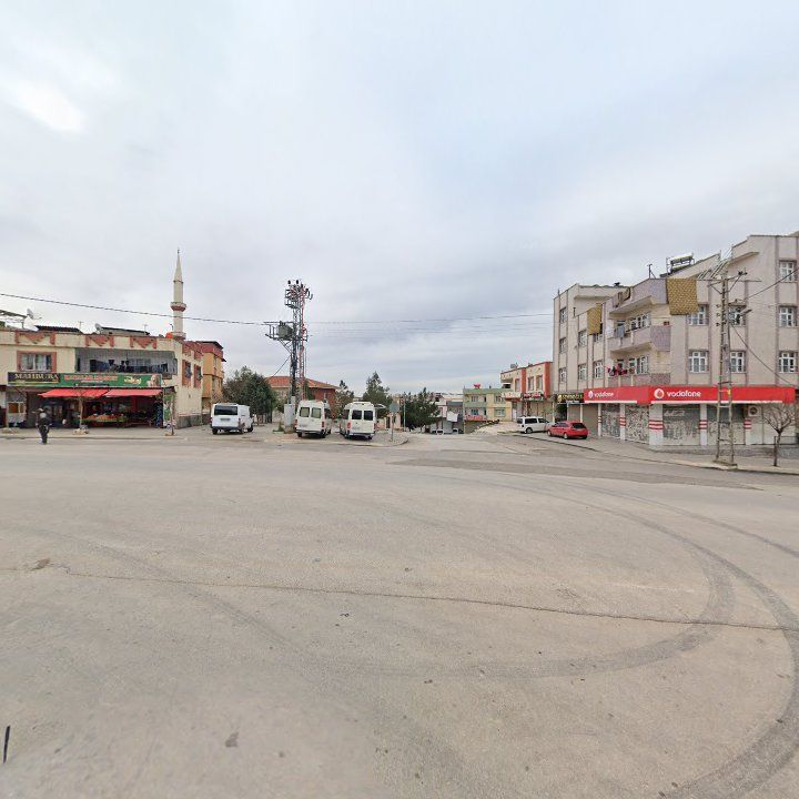 Fotoğraf 10