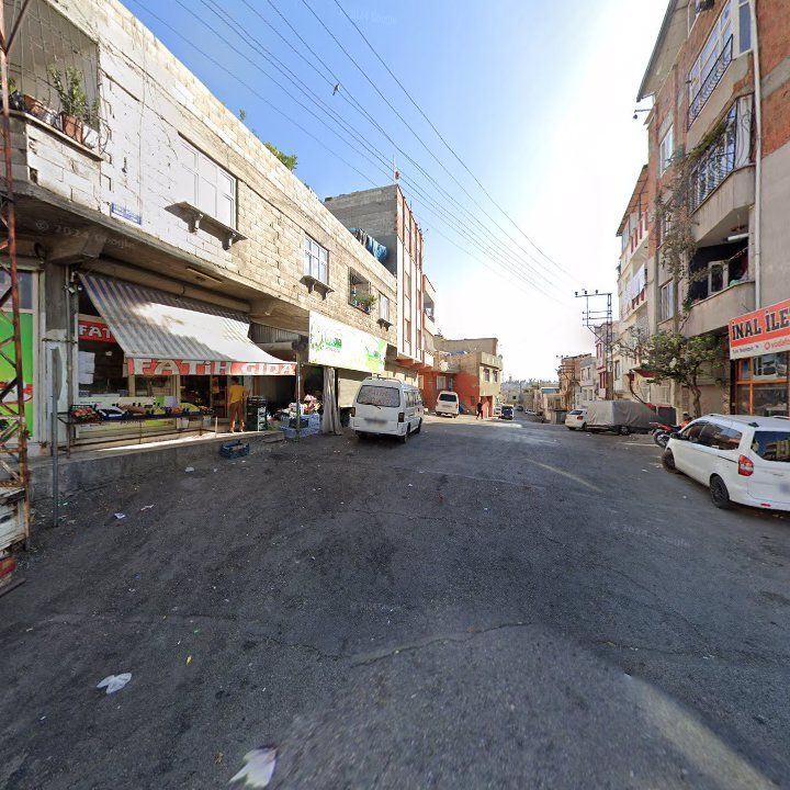 Fotoğraf 8