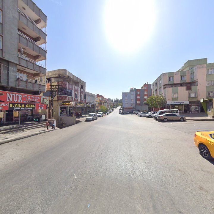 Fotoğraf 11