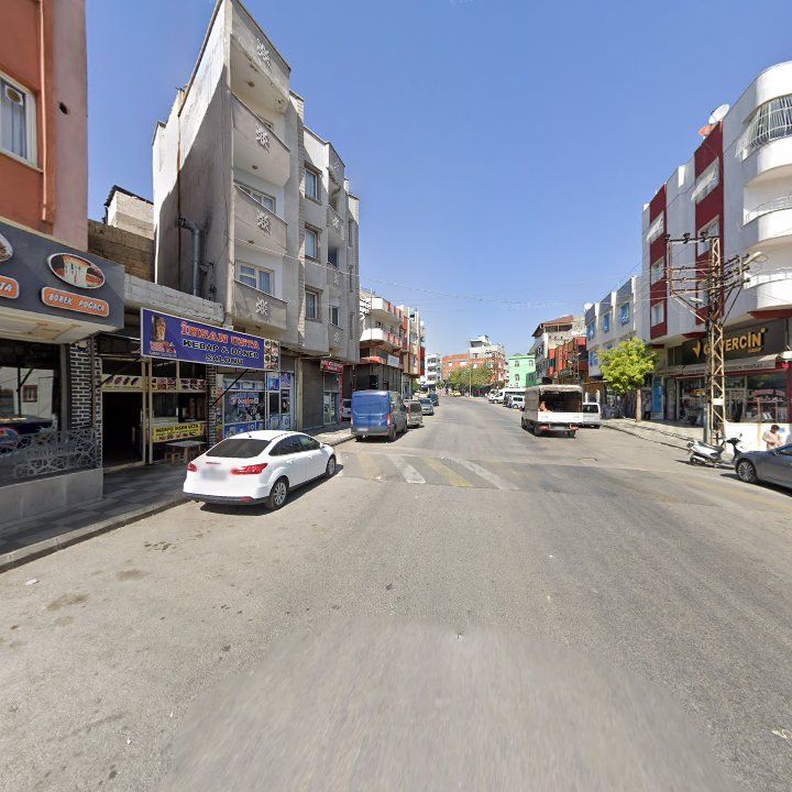 Fotoğraf 9