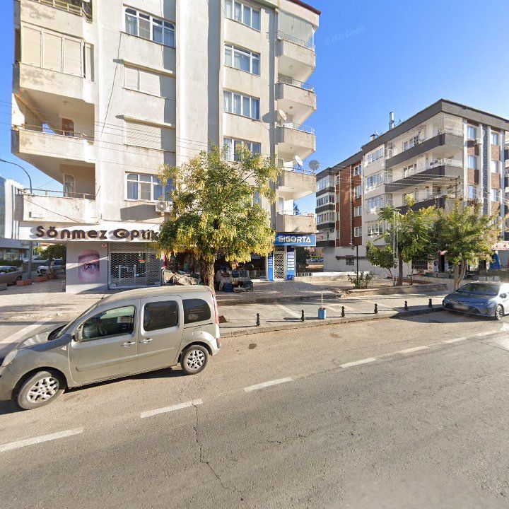 Fotoğraf 9