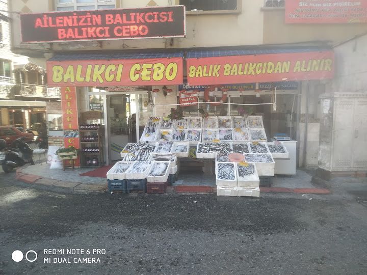 Balıkçı Cebo
