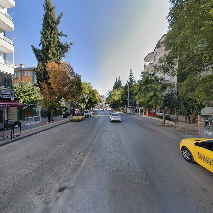 Fotoğraf 8