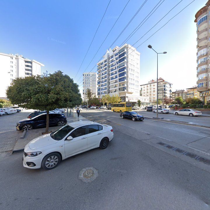 Fotoğraf 11