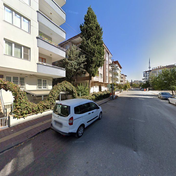 Fotoğraf 9