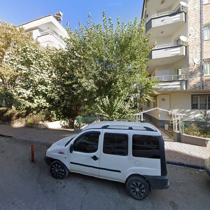 Fotoğraf 10