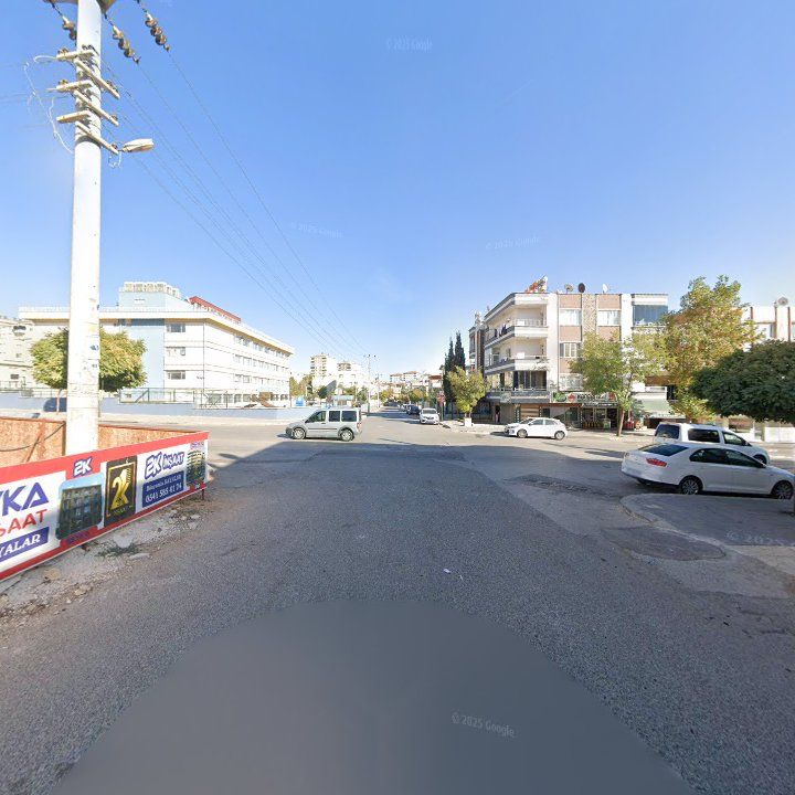 Fotoğraf 11
