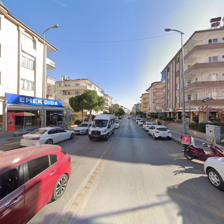 Fotoğraf 15