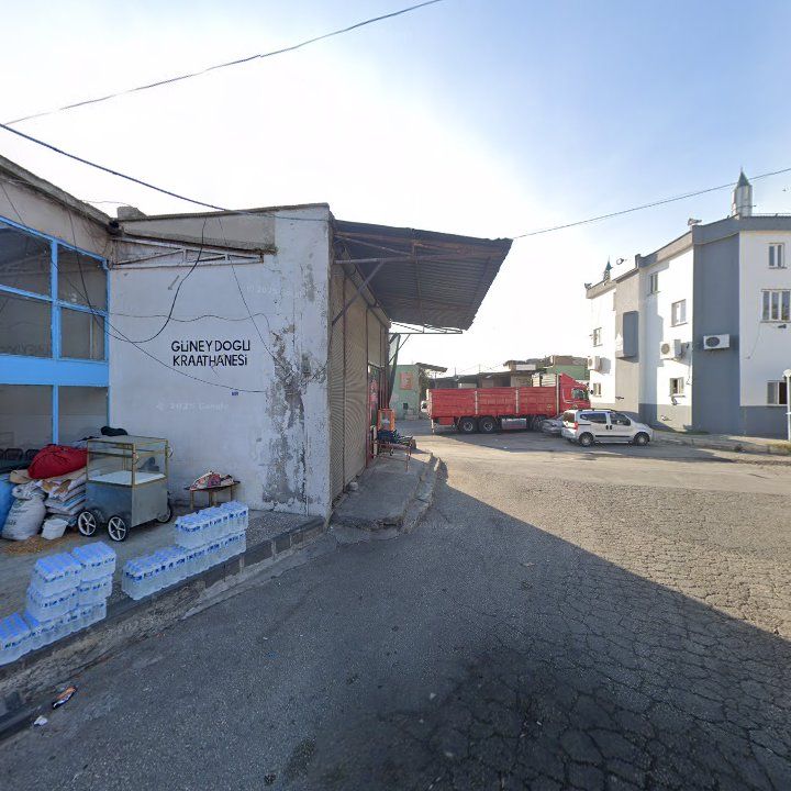 Fotoğraf 8