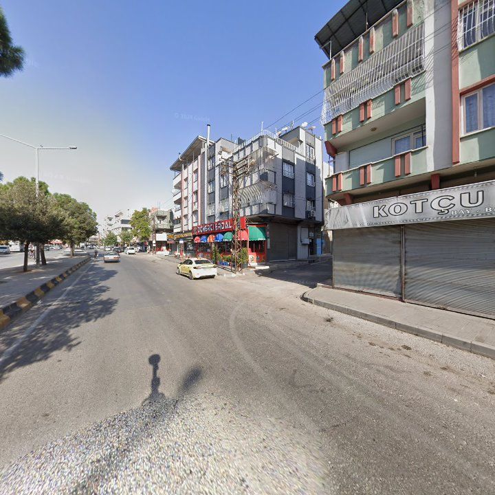 Fotoğraf 13
