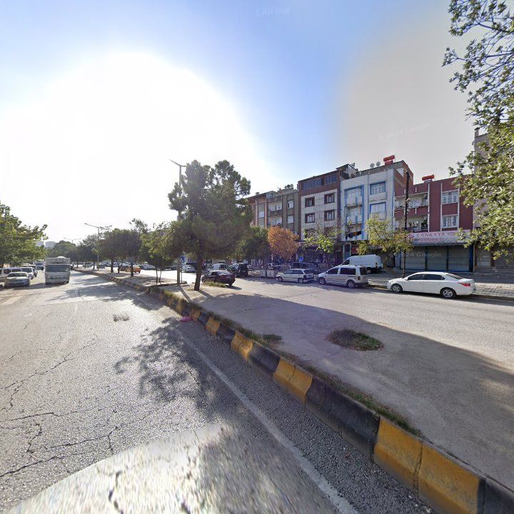 Fotoğraf 11