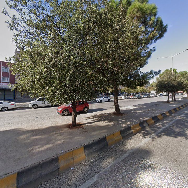 Fotoğraf 12