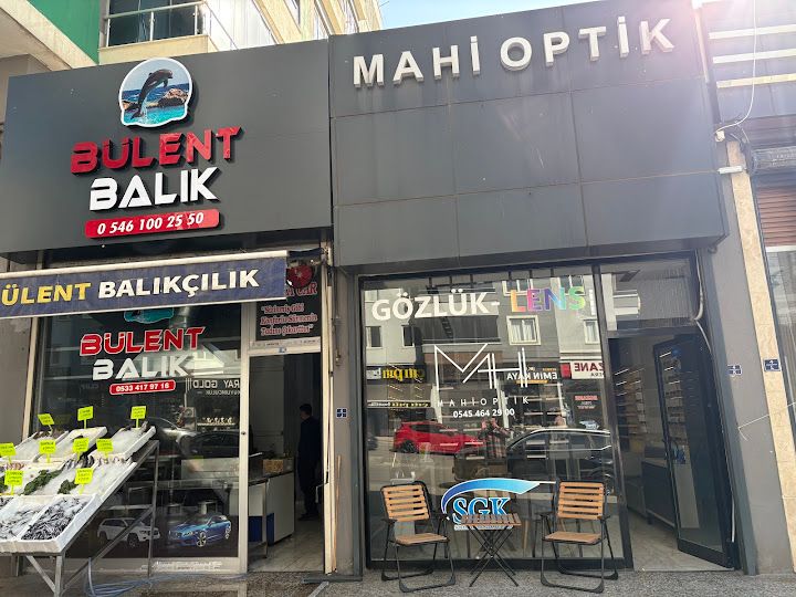 Bülent Balık