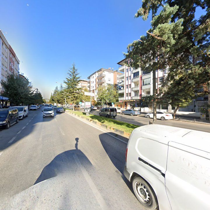 Fotoğraf 10