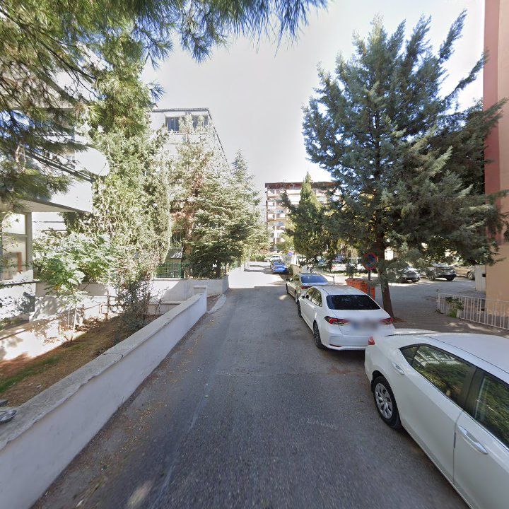 Fotoğraf 12
